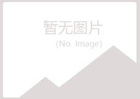 黄山屯溪夏青咨询有限公司